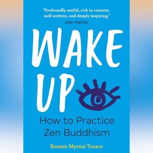Buddhism & Zen How To Book